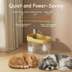 1.5L Auto Filter Transparent Water Fountain for Cats & Small Dogs