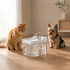 Cat and Dog Water Fountain Auto Filter Transparent Cat Drinker USB Anti-Dry Burning Recirculate Filtering Water Dispenser with Pump